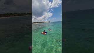 Natural aquarium - Barcelo maya #mexico #nature  #mexicotourism #rivieramaya #barcelohotel