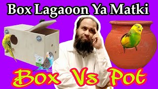 Best Information about MATKI and BOX, Which is Best? in Urdu / Hindi by Khan Birds Collection