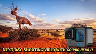 GO Pro Hero 11 secend day shooting video  आज मैं दुसरे दिन वीडियो शूट किया!