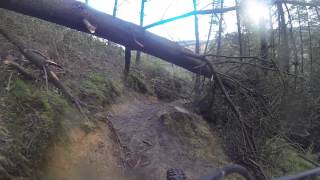 MTB - Afan