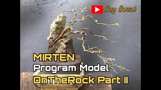 BONSAI MIRTEN program model OntheRock Part II