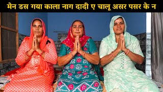 मेन डस गया काला नाग दादी ए चालू असर पसर के न | Haryanavi Ladies Bhajan