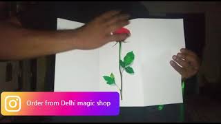 Real Rose Picture Alive | Magic for parlor and closeup | Magic Shop in Delhi