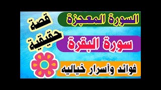 قصص عجيبة عن قراءة سورة البقرة @abdelkafytube @MohammedHijabarabic