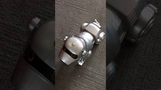 tekno robot dog