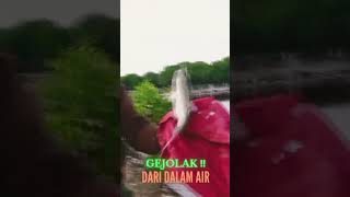 GEJOLAK ‼️ DARI DALAM AIR