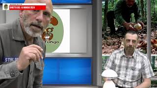 TG Fungo in diretta del 16 maggio 2024