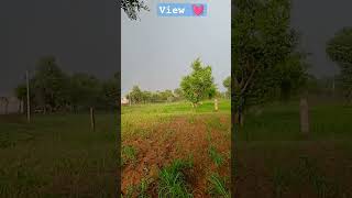 #nature #villagelife #villagelifestyle #vlogger #shortvideo #shortfeed #naturelovers #trendingshorts