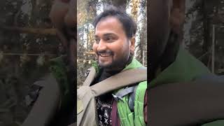 Narkanda to Hatu Peak Trek #shorts #youtubeshorts