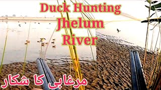 Duck Hunting Jhelum River session 2022_2023 Murghabi ka shikar Vlog Normal Movement Jhelum