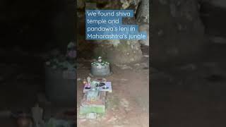 We found ancient shiva temple in jungle 🙏🏻🎉