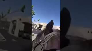 Police chase shoplifter on a horse #viralvideo #newmexico #horsemountedpolice #albuquerque