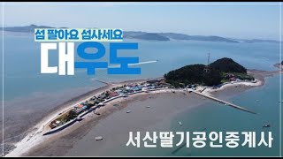 [딸기155] 태안반도 지곡면 중왕리 [대우도]섬 판매합니다 딸기공인중개사 041.662.0880