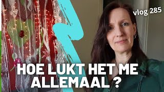 Hoe lukt het me alle dieren te verzorgen ? Vlog 285