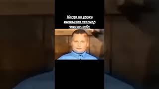 когда вспомнил сталкер чистое небо #сталкер#чистое_небо#мем