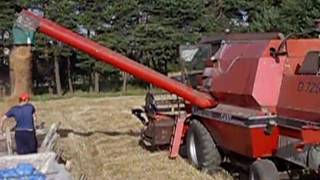 Żniwa 2011 Case IH Dania D 7200 / Dronningborg D 7200