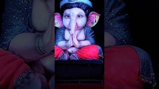 Best Ganesh Darshan2024#raipur#chhattisgarh #ganpatidarshan#twins