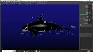 Orca Whale Rig