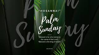 Palm Sunday | God loves you