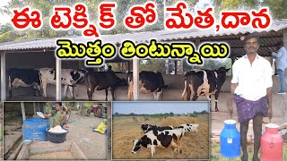 మేత మీద దాన పోస్తున్నాం how to do dairy farm @MalleshAdla