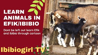 Learn Efik/Ibibio animals (in Efik/Ibibio language through cartoon)