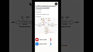 #NEETPG #BIOCHEMISTRY MCQ || Purine catabolism ||