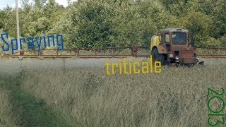 Spraying triticale 2013 / Oprysk pszenżyta 2013