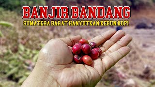 [BENCANA SUMBAR] 😢 Kebun Kopi Terkena Banjir Bandang!