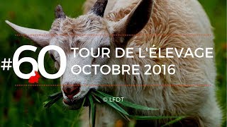 TOUR DE L'ELEVAGE OCTOBRE 2016 │LFDT #60