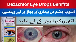 Dexachlor Eye Drops Uses in Urdu || Chloramphenicol Eye Drops || Dexachlor Eye Drops How To Use