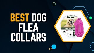 Dog Flea Collars - Aliexpress Top 5 Dog Flea Collars Review