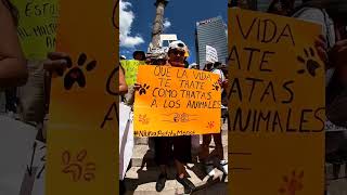 marcha por los derechos de los animales 🐕 🐷🐰 25 junio 2023