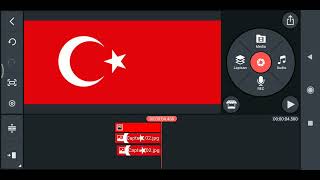 For ottoman turkuye (im create this flag need to download in google)