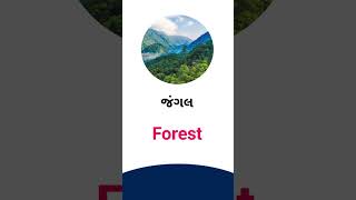 Forest meaning in Gujarati - English dictionary