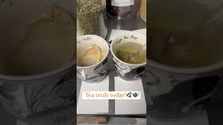 Custom herbal tea blends from Papa’s Apothecary #papasapothecary #tea #herbalist