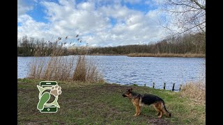 Losloopgebied Zuigerplasbos te Lelystad Flevoland