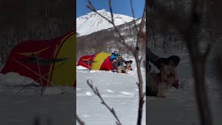 This is your sign to go camping with your dog in NORWAY! #travel #visitnorway #mountain #pinoy