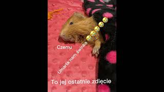 Czemu 😭😭😭😭😭😭😭😭