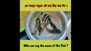 কে বলতে পারেন এই মাছটার নাম কি?  #shorts  #fishing  #viral #trending #fish