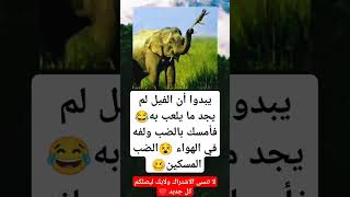 عندما يمسك الفيل بضب شاهد ماذا سيفعل #music #explore #song #اكسبلورر #يارب #لايك #اكسبلورر #اكسبلور