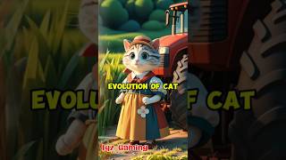 🌞💥❤️ Evolution of Cat✅️ #catlover #catvideo #shorts