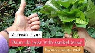 memetik dan memasak daun ubi jalar. #petani #sayur