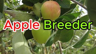 Apple Breeder