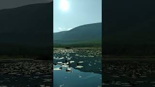 Fall floating in the kyak  amongst  the Lillypads  on a mountain lake in the Kootenays, B.C