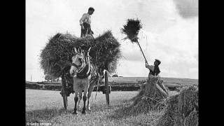 Three Pressed Men - John Barleycorn