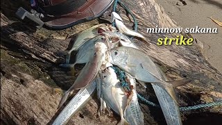 Minnow sakana terbukti strike || mancing pinggiran