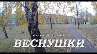 Веснушки 2015 Образцовый ансамбль танца