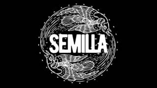 Semilla - Cuando desperte (En vivo feria madre tierra 12/04/2017)