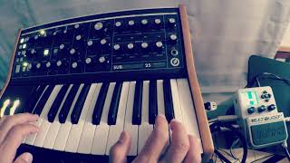 Dear Moog no.2, subsequent 25, beatbuddy, mar t music