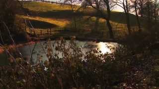 Waseley Hills Birmingham